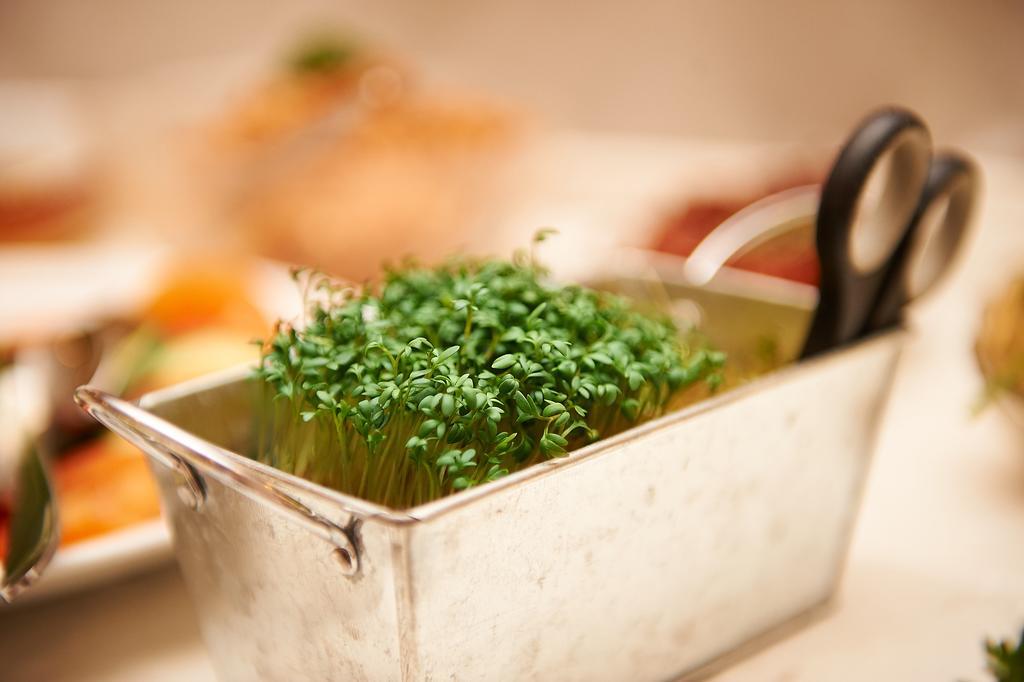 Vegan Hotel Und Restaurants Nicolay 1881 Целтинген-Рахтиг Екстериор снимка